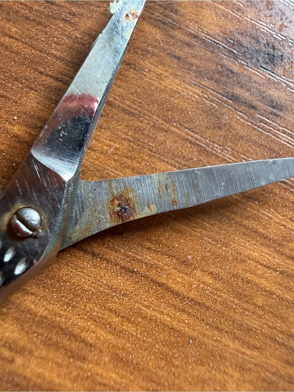 Vintage Silver Stork Grooming Scissors